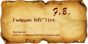 Fadgyas Bálint névjegykártya